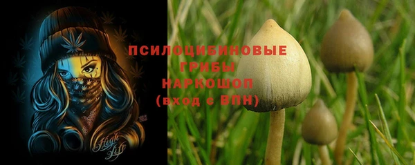 дурь Липки
