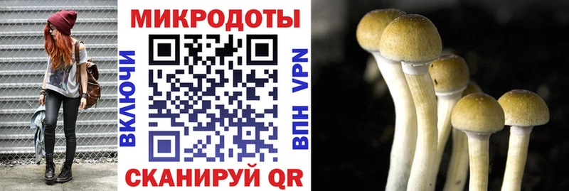 Псилоцибиновые грибы Psilocybe  купить наркотик  Макарьев 