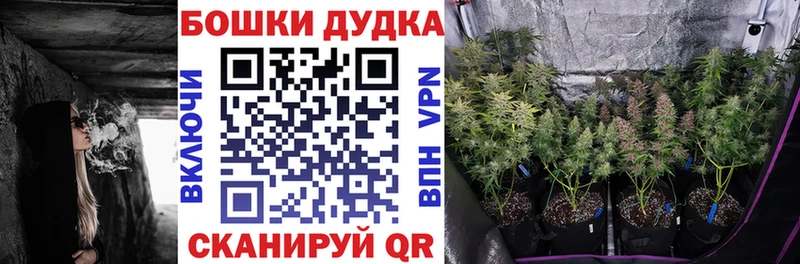 KRAKEN зеркало  мориарти официальный сайт  Канабис тримм  Макарьев 